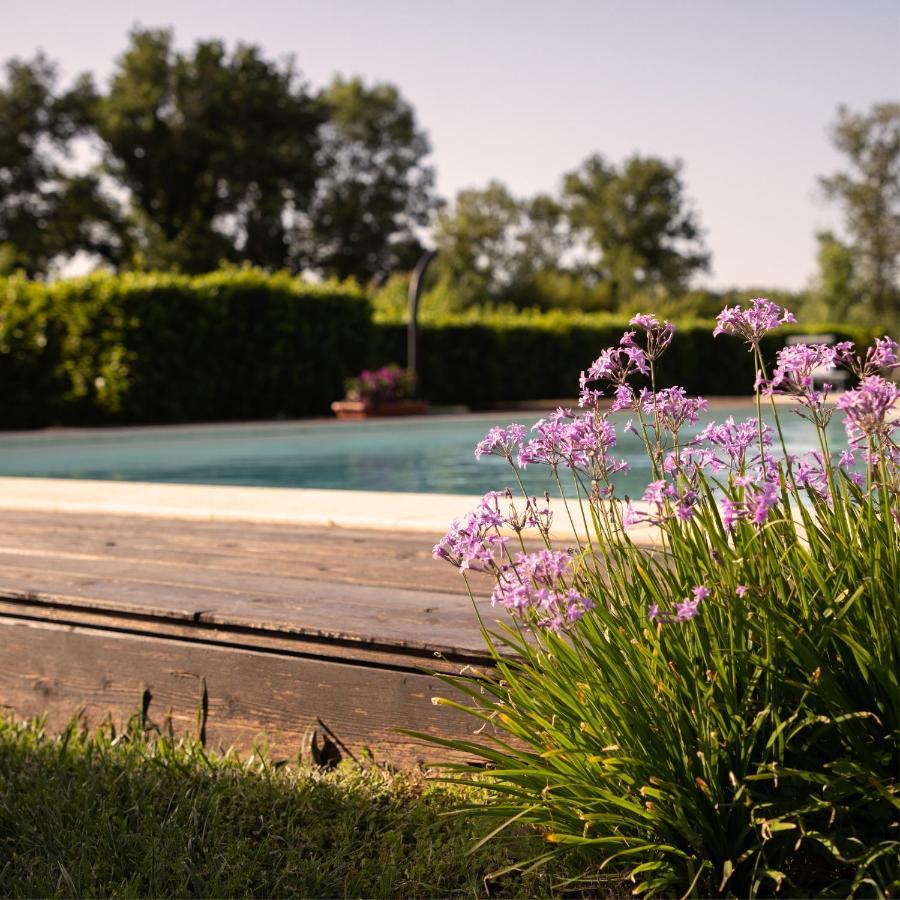 Agriturismo I Tre Fossi Magliano in Toscana Exterior foto