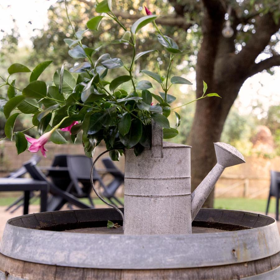 Agriturismo I Tre Fossi Magliano in Toscana Exterior foto